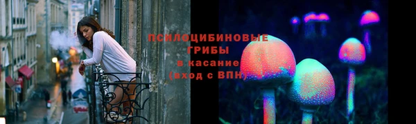 спайс Баксан