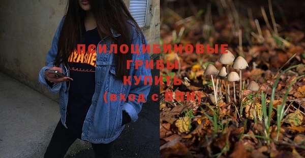 спайс Баксан